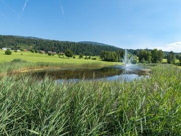 Golfpark Bregenzerwald