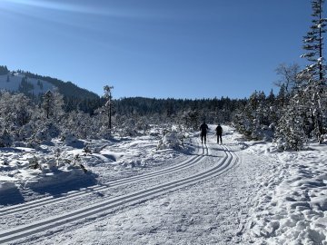 Winterparadies und Winterwanderwege am Bödele im Winter
